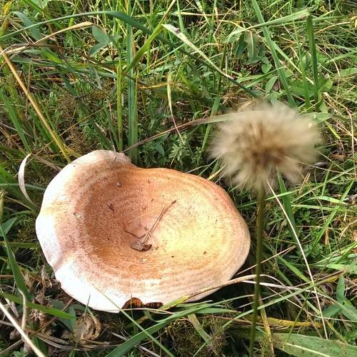 Photo #7607114