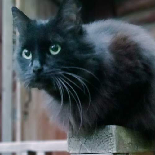 Photo #7607123