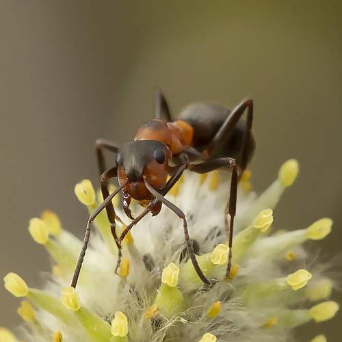 Photo #7607151