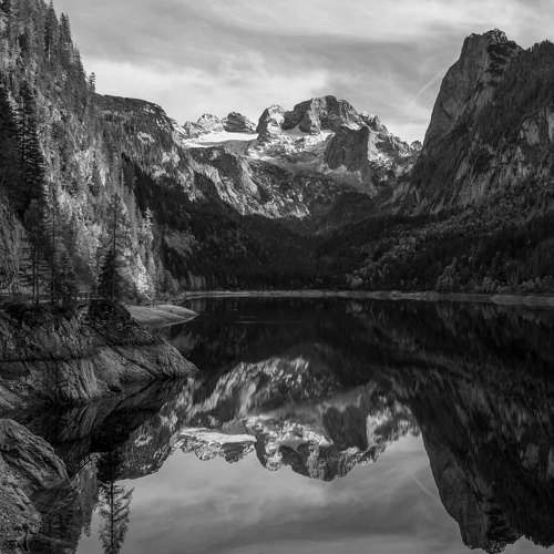 Photo #7607434