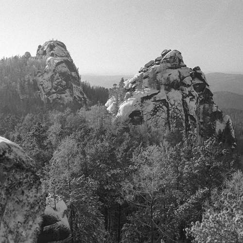 Photo #7607439