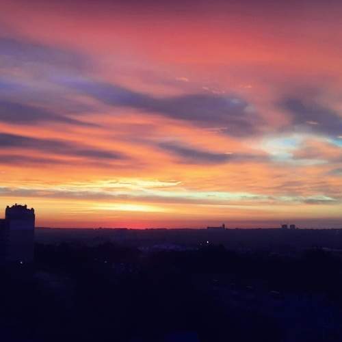Photo #7607449