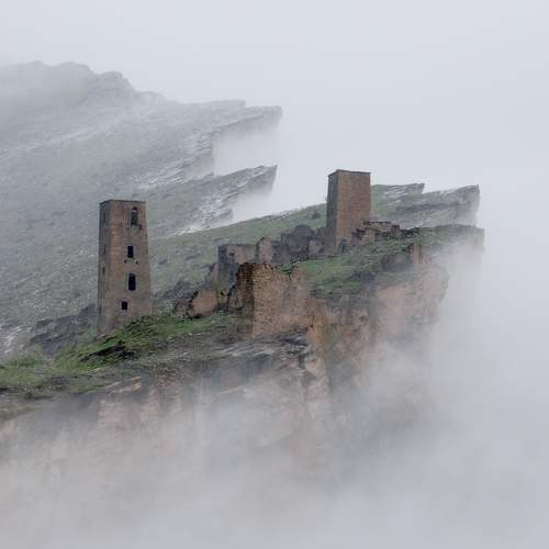 Photo #7607502