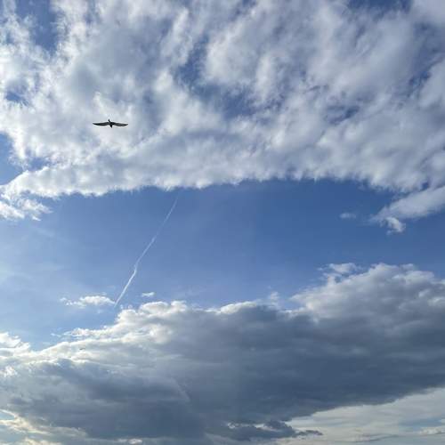 Photo #7607918