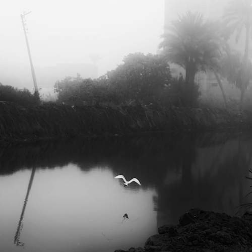 Photo #7608103