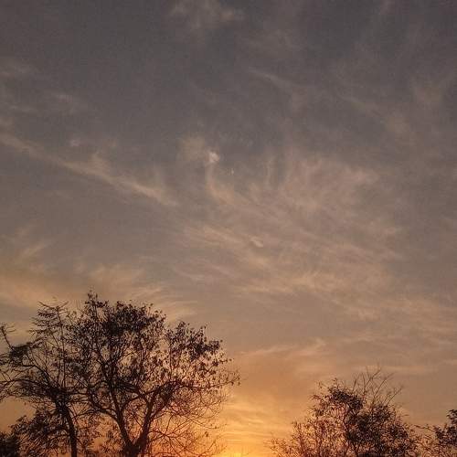 Photo #7608112