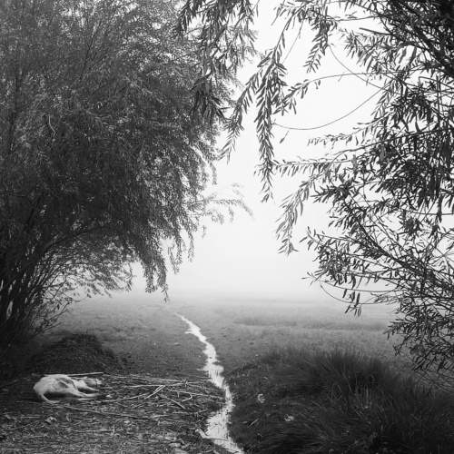 Photo #7608113