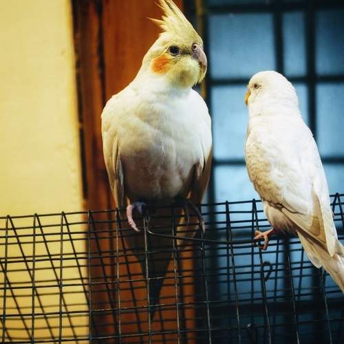 Photo #7608155