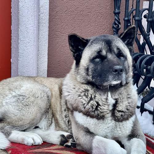 Photo #7608471