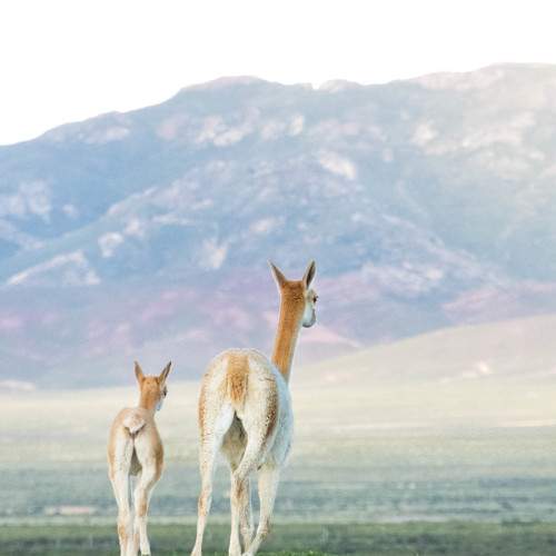 Photo #7608625