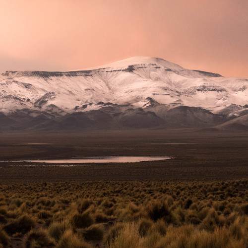 Photo #7608636