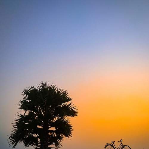 Photo #7608754