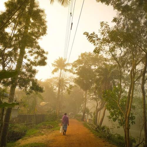 Photo #7608764