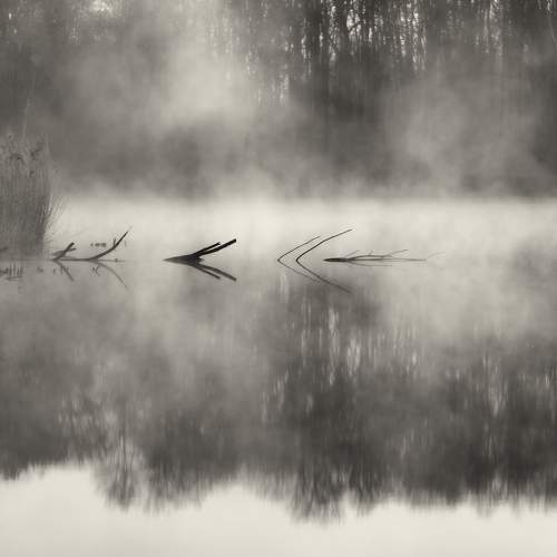 Photo #7608772