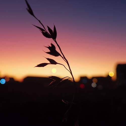 Photo #7608870