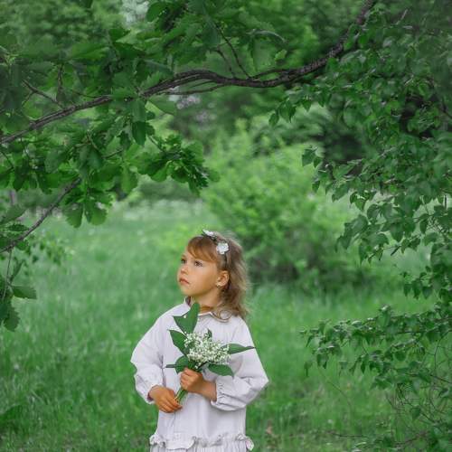 Photo #7609028