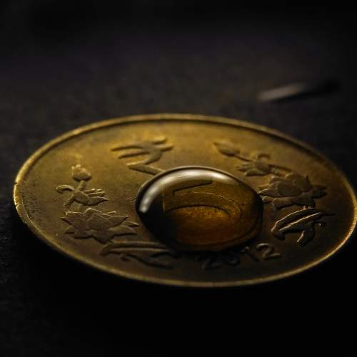 Photo #7609094