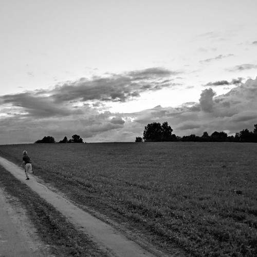 Photo #7609163