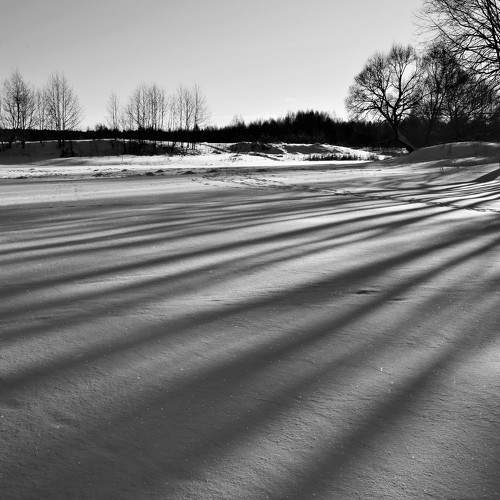 Photo #7609165