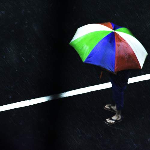 Photo #7609252