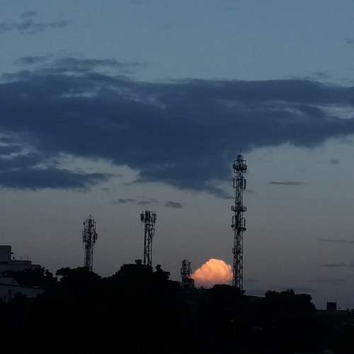 Photo #7609548