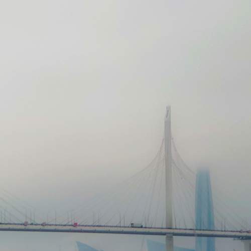 Photo #7609558