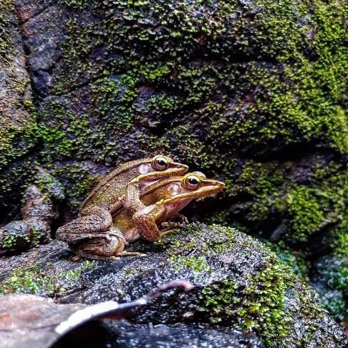 Photo #7609559