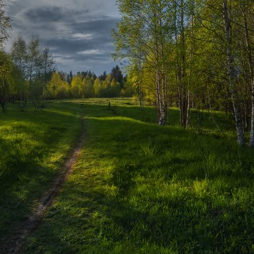 Photo #7609836