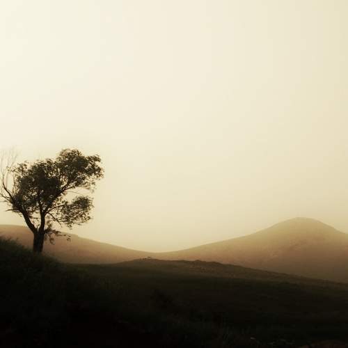 Photo #7610145