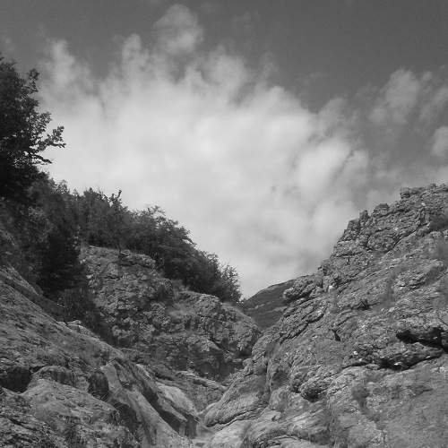 Photo #7610220