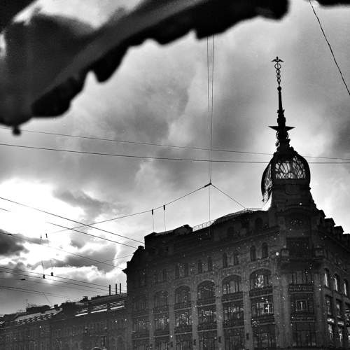 Photo #7610362