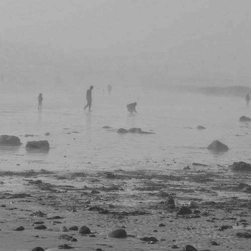 Photo #7610583