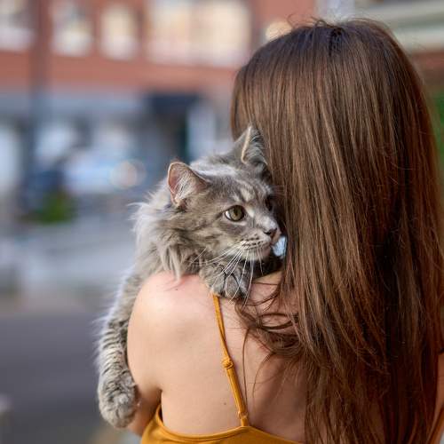 Photo #7610629