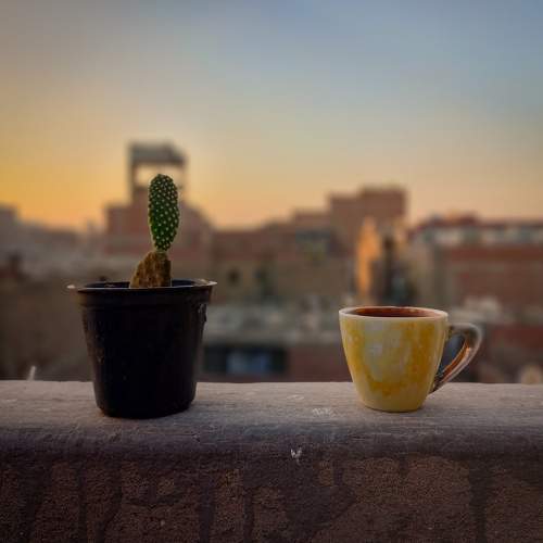 Photo #7610637