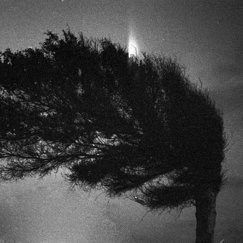 Photo #7610645