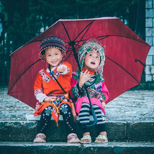 Photo #7610648