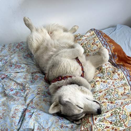 Photo #7610838
