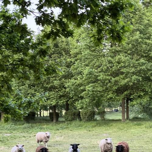 Photo #7610841