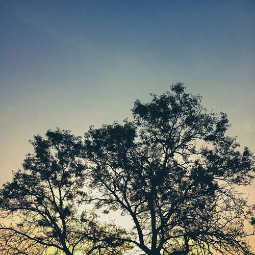 Photo #7610871