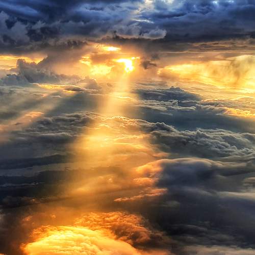 Photo #7610910