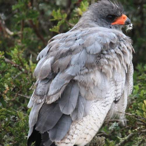 Photo #7610945