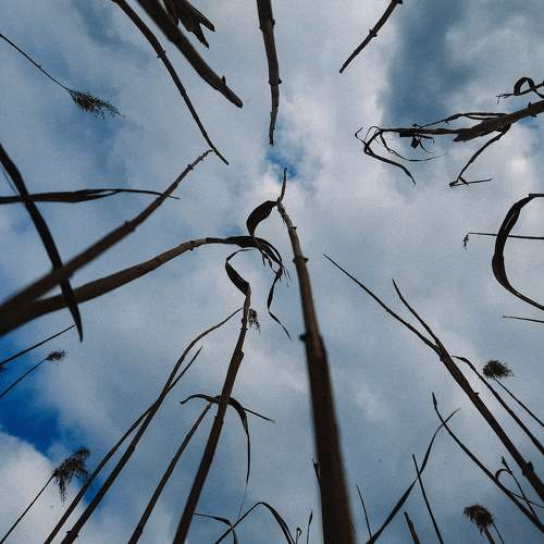 Photo #7611092