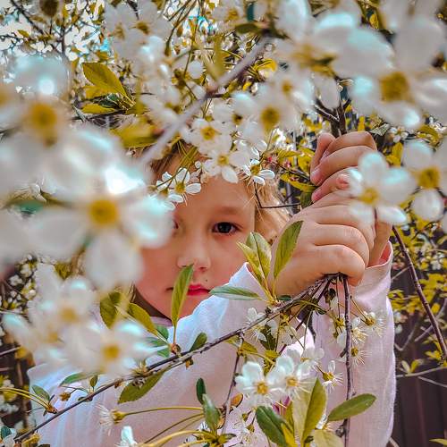 Photo #7611098