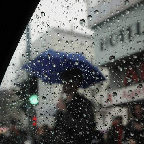 Photo #7611163