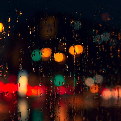 Photo #7611334