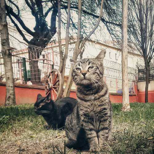 Photo #7611362