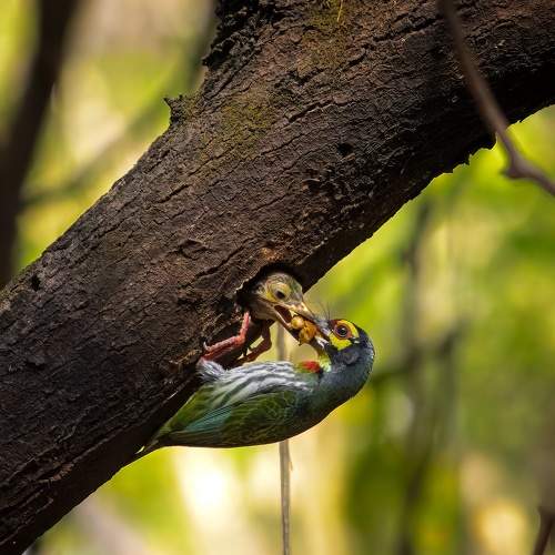 Photo #7611422