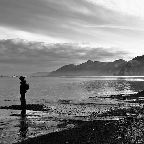 Photo #7611515