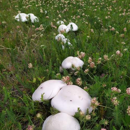 Photo #7612047