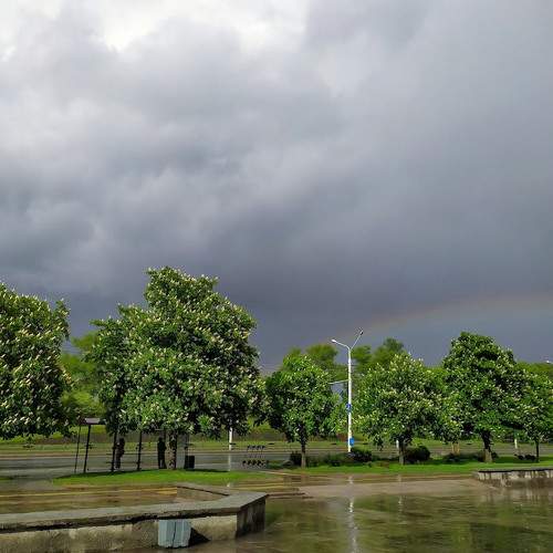 Photo #7612293